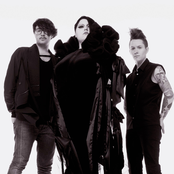 Gossip - List pictures