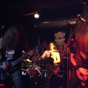 Jungle Rot - List pictures