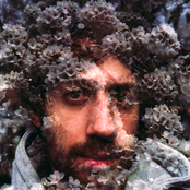 Gold Panda - List pictures