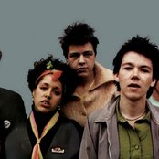 X-ray Spex - List pictures