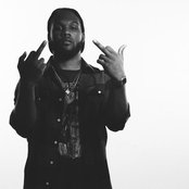 Skipper - List pictures