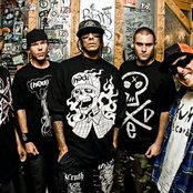 Hed Pe - List pictures