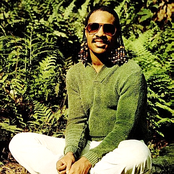 Stevie Wonder - List pictures
