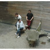 Kreidler - List pictures