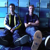 Black Lab - List pictures