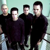 Imperative Reaction - List pictures