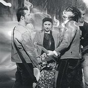 Dolly - List pictures