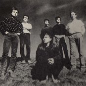 Dada - List pictures