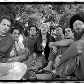 Groundation - List pictures