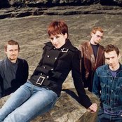 Cranberries - List pictures