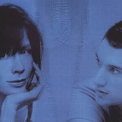 Lamb - List pictures