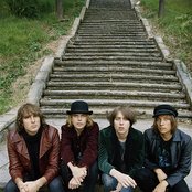 Vines - List pictures