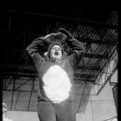 I'm From Barcelona - List pictures