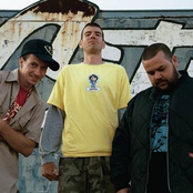 Ugly Duckling - List pictures