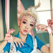 Fat Cat - List pictures