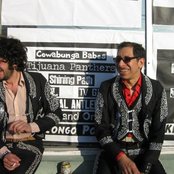 Kid Congo & The Pink Monkey Birds - List pictures