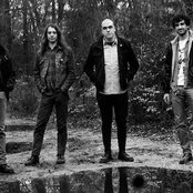 The Men - List pictures