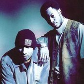 Black Sheep - List pictures