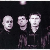 Inspiral Carpets - List pictures