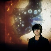 White Fence - List pictures