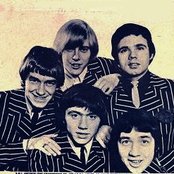 Easybeats - List pictures