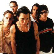 Charlie Brown Jr - List pictures