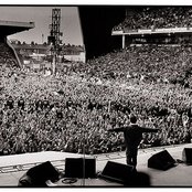 Oasis - List pictures