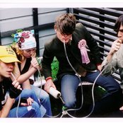 Coachwhips - List pictures