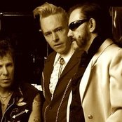 The Head Cat - List pictures