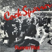 Cock Sparrer - List pictures