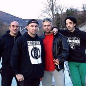 Aurora - List pictures