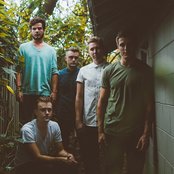 Savannah - List pictures