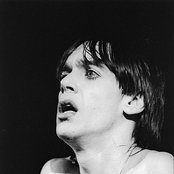 Pop Iggy - List pictures