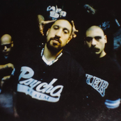 Psycho Realm - List pictures