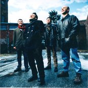 Pernice Brothers - List pictures