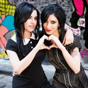 Veronicas - List pictures
