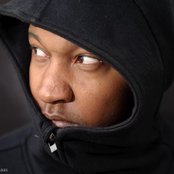 P.o.s. - List pictures