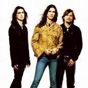 Jaguares - List pictures