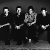 Normil Hawaiians - List pictures