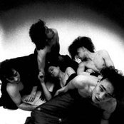 Fair Sex - List pictures