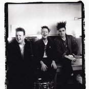 The Membranes - List pictures