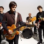 Skank - List pictures