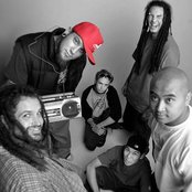 Insolence - List pictures