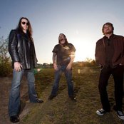 Sasquatch - List pictures