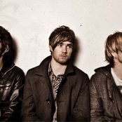 Young Lyre - List pictures