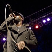 Dice Raw - List pictures