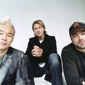 Feeder - List pictures