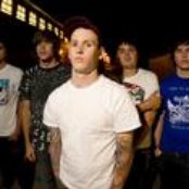 50 Lions - List pictures