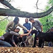 Fleet Foxes - List pictures