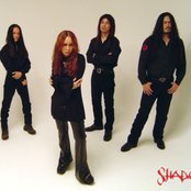 Shadow - List pictures